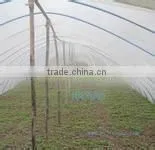 blow molding greenhouse /mulch film