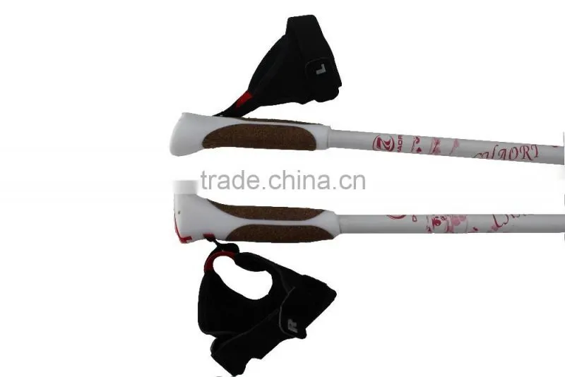 Nordic walking stick, cheap price, 3 sections, internal lock, 6061 Aluminum SZ17007