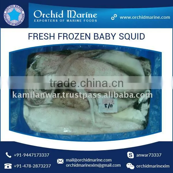 Excellent Taste Fresh and Hygienic Frozen Baby Squid, Sea Food Exporter