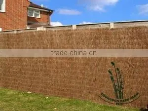 brushwood fences