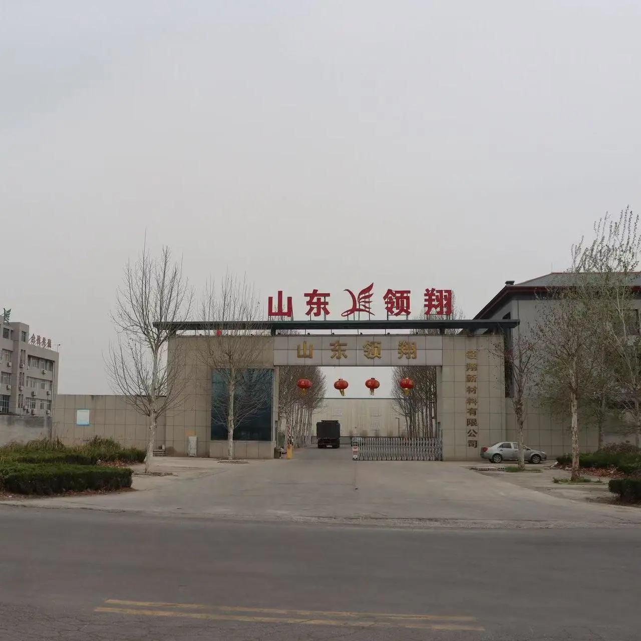 Shandong Lingxiang New Material Co., Ltd. company overview - view 1