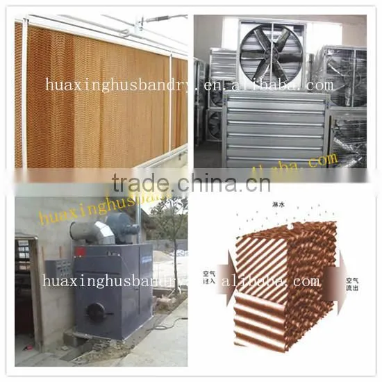 broiler battery cage with automatic feeding and manure removal equipments (professional manufacture)