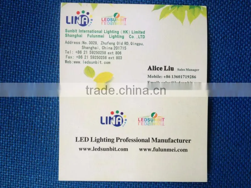 custom led neon sign 12V neon CE& ROHS warranty 2 years 86led/m