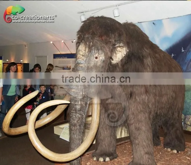 Museum quality simulation life size mammoth
