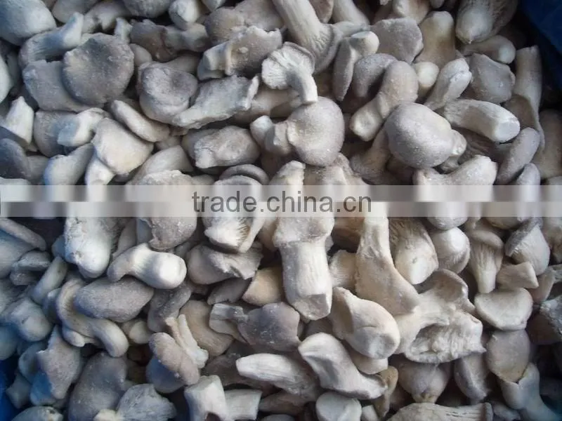 Export IQF Baby Oyster