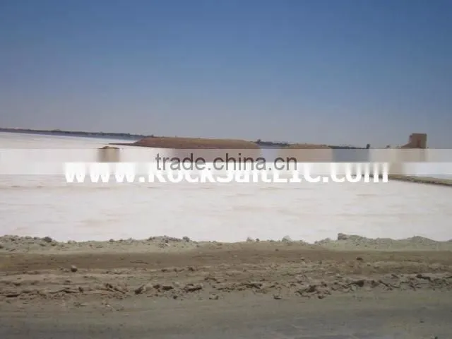 Bulk Sodium Chloride 98% NaCl l Industrial grade Sodium Chloride l Deicing Salt l SGS analysis