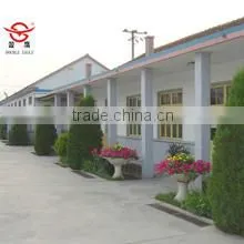 Shandong Double Eagle Medical Device Co., Ltd. company overview - view 2