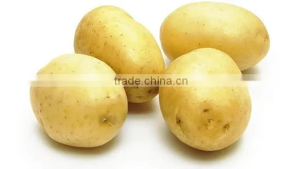 supply fresh vegetables ,high quality fresh potatoes for sale