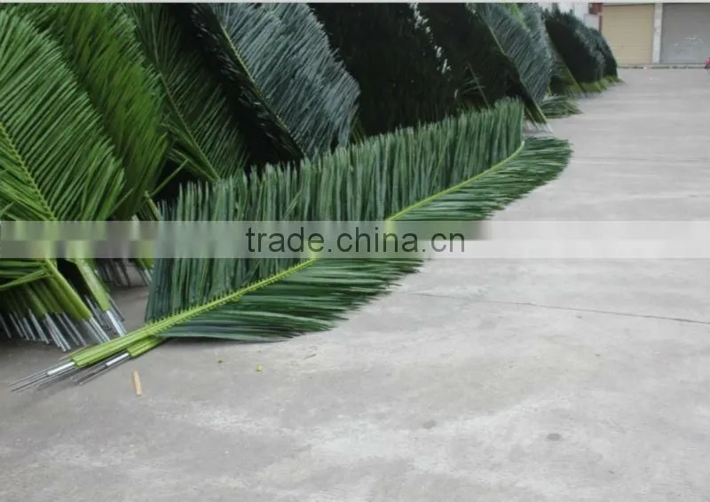 Camouflaged Fan Palm Tree Leaves