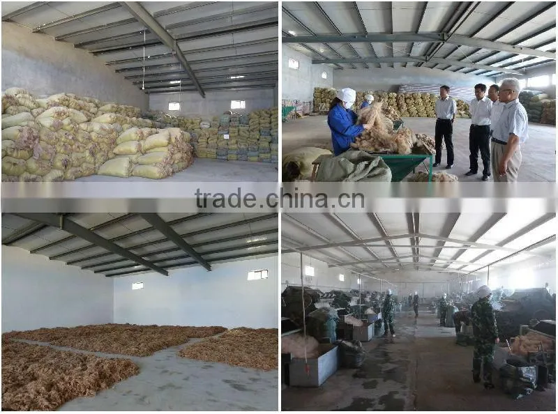 100% pure camel wool from Inner Mongolia