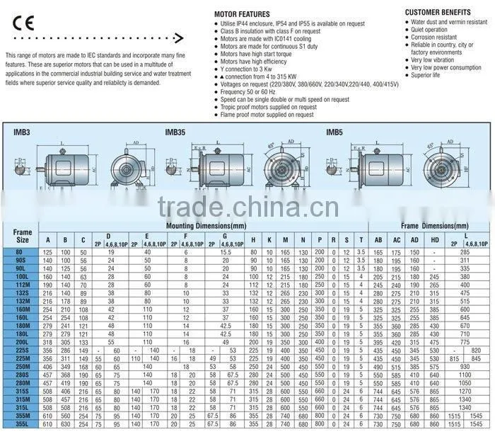 Y-SERIES THREE-PHASE MOTOR