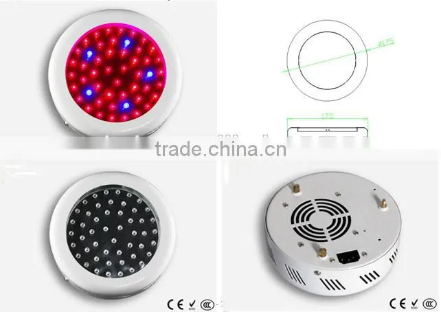 90w horticultural led lighting apollo