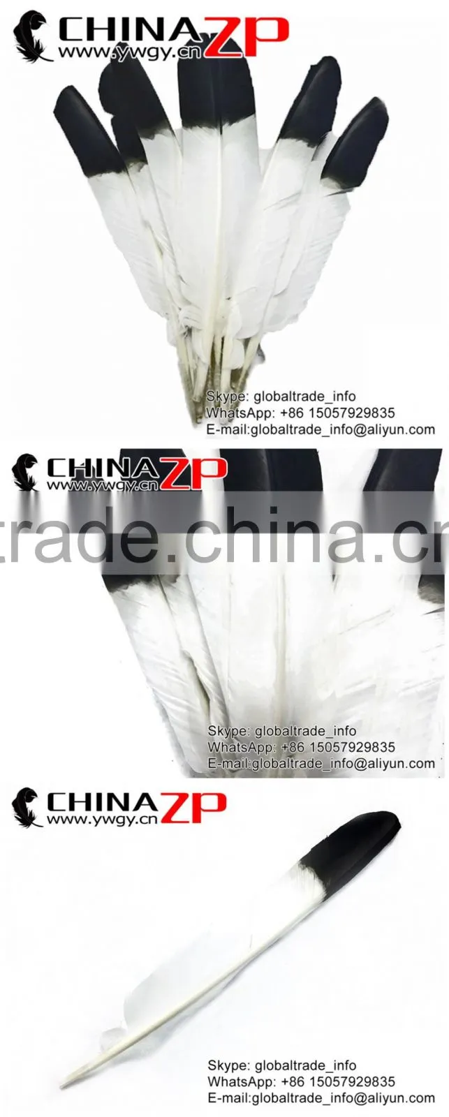 Top Supplier CHINAZP Crafts Factory Wholesale Good Dyed Black Tipped Turkey Pointers Quill Large Feathers for Decoration