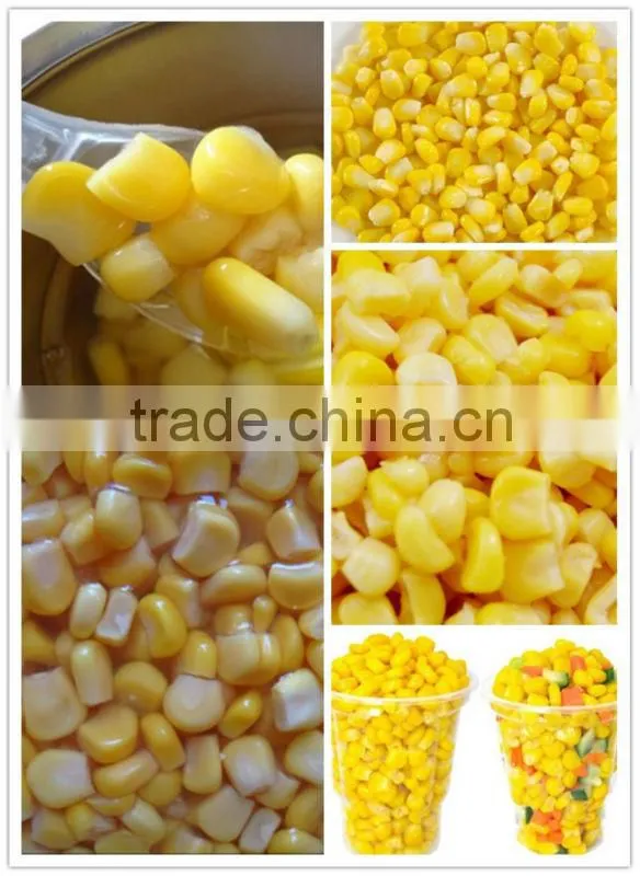 canned sweet corn in preseved vegetables