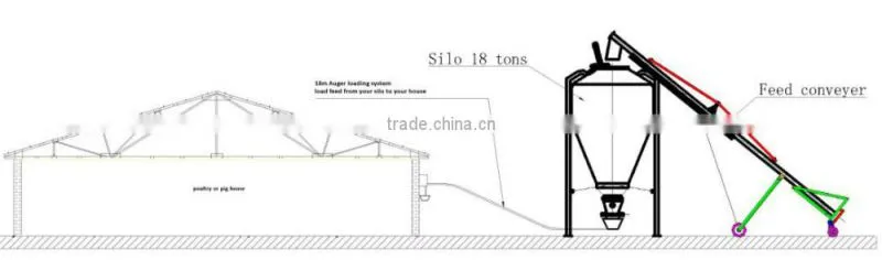 Rigid screw conveyor for feed