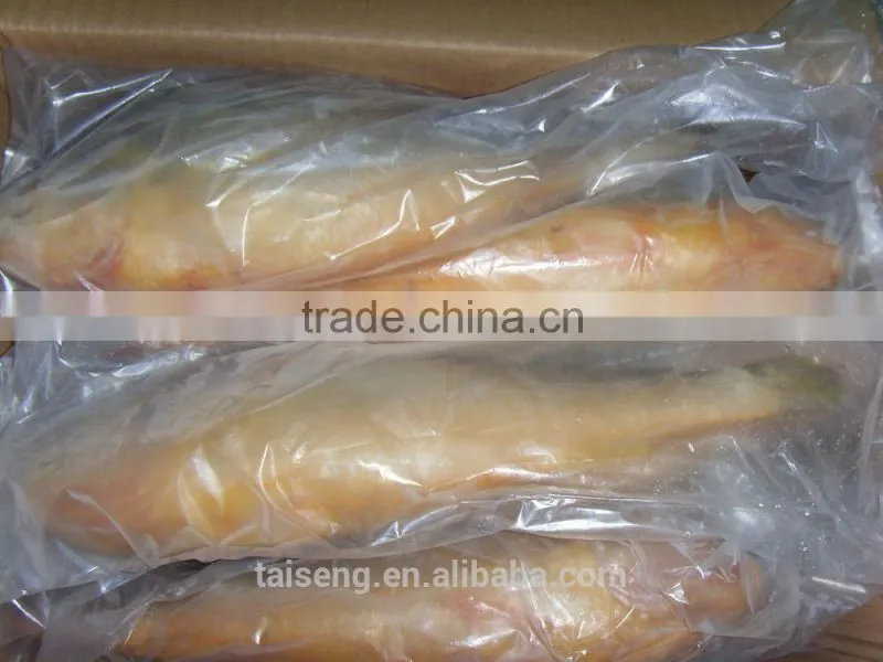 Whole Round Fresh Croaker Seafood Frozen Yellow Croaker fish
