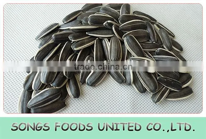 Chinese Original Sunflower Seeds New Crop Long Shape