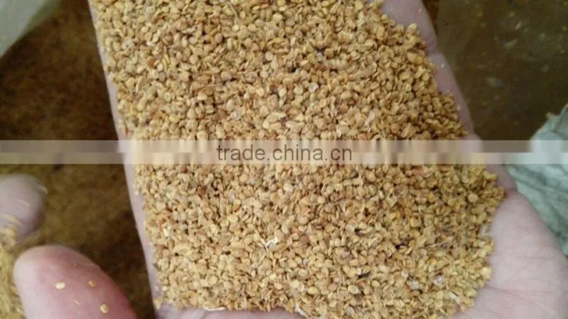 High Quality Goji Berry seeds for growing plants