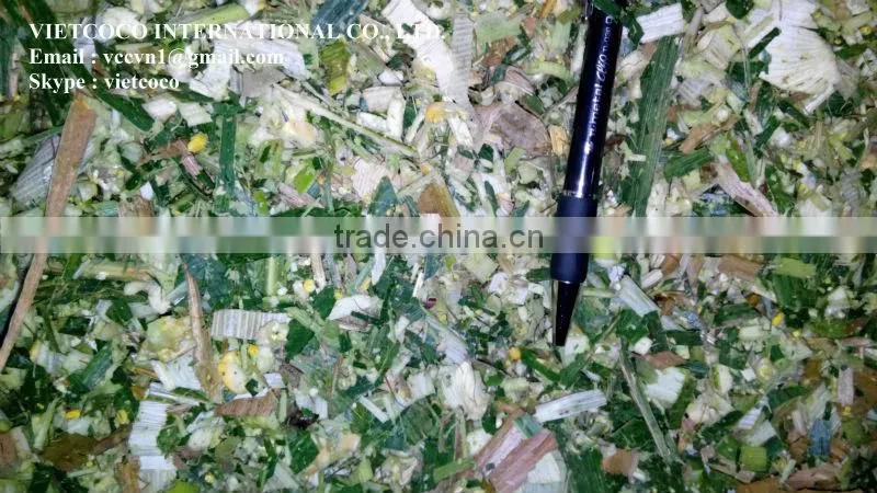 Corn Silage