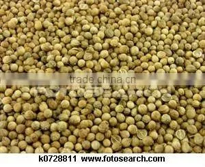 Coriander Seeds Green