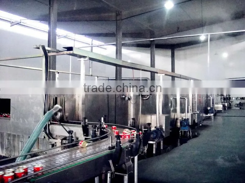 brix different ,bulk tomato aseptic ketchup tomato paste halal food manfacturer