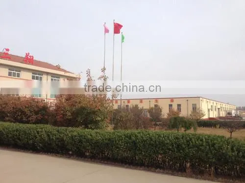 Weifang Sansho Food Co., Ltd. company overview - view 3