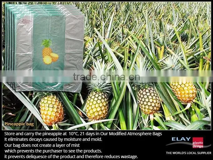 Pineapple bag