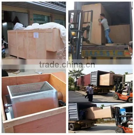 Best quality Various Stainless Steel 304 automatic quail egg peeler machine