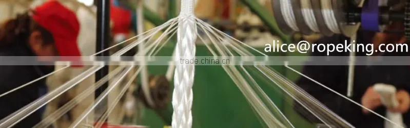 Twisted Rope Plastic Rope