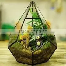 Micro landscape plant glass greenhouse clear geometric terrarium