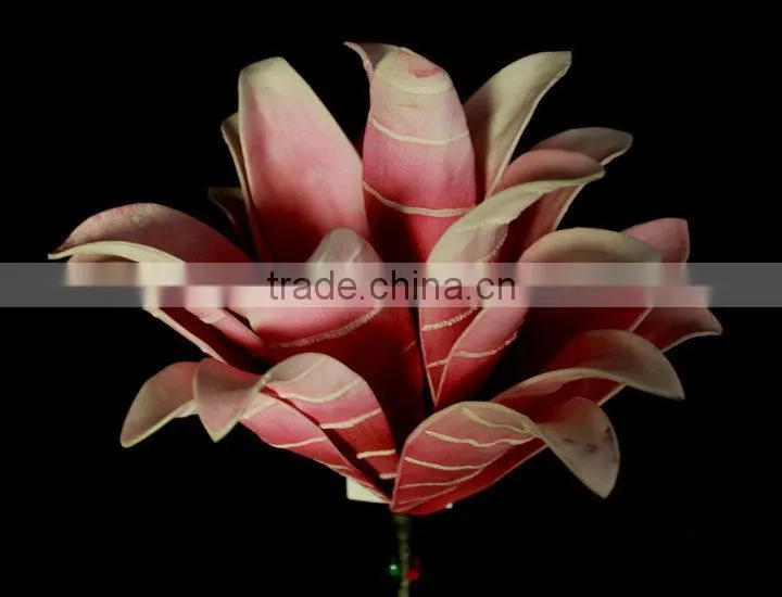 Succulent plants tropical plants Artificial plants succulent plants