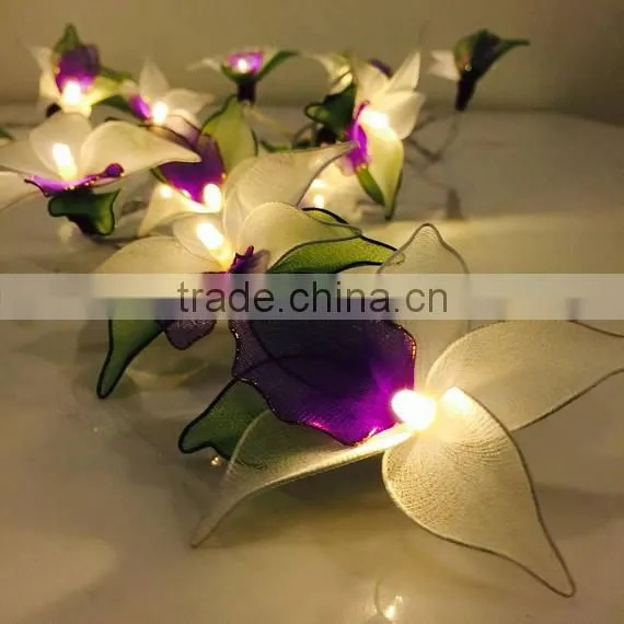 Warm White Operated LED String Lights