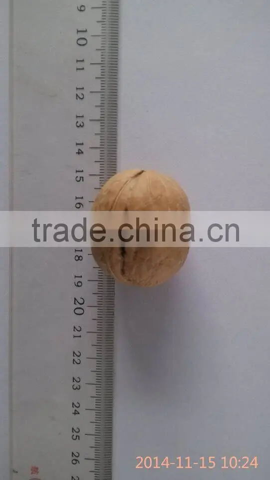organic high quality walnut kernels