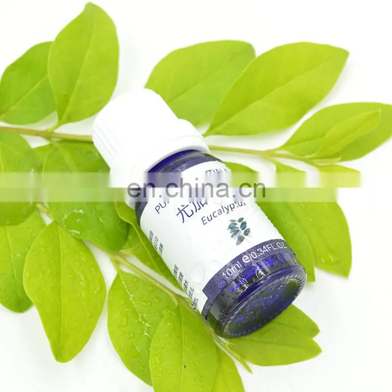 10-30L violet essential oil essential oil distillation equipment