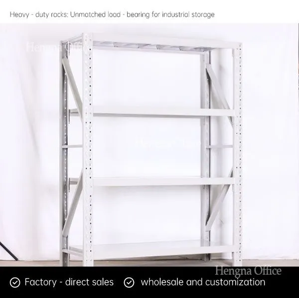 DSJIFS01100