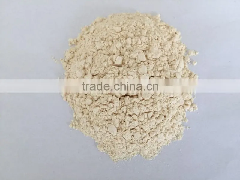 HACCP /ISO/FDA Approved High Quality Dehydrated Garlic powder for USA/EU market