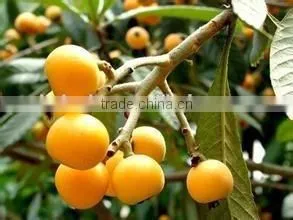 industrial fruit protective bag maker for sale
