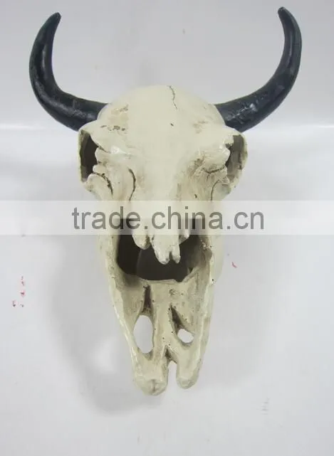 Human and Animal Resin Skull,Customized Skull