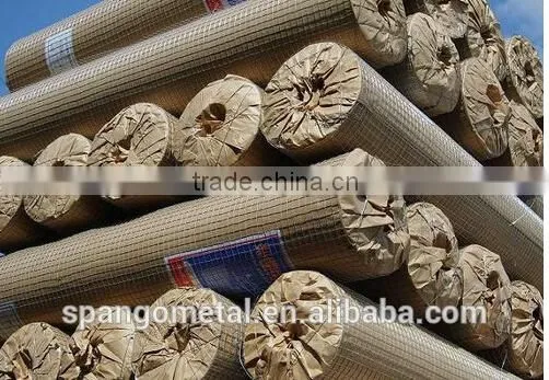low price electro galvanized welded wire mesh made in China