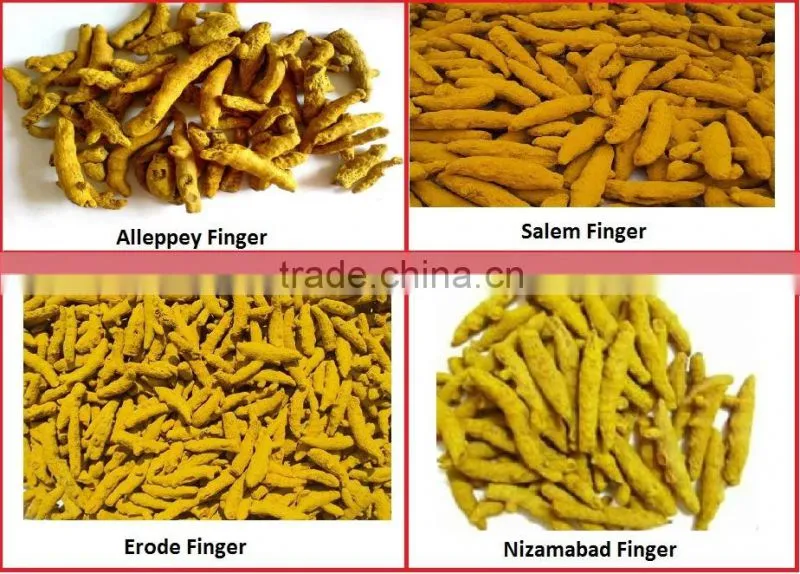 Double Polished Turmeric Fingers