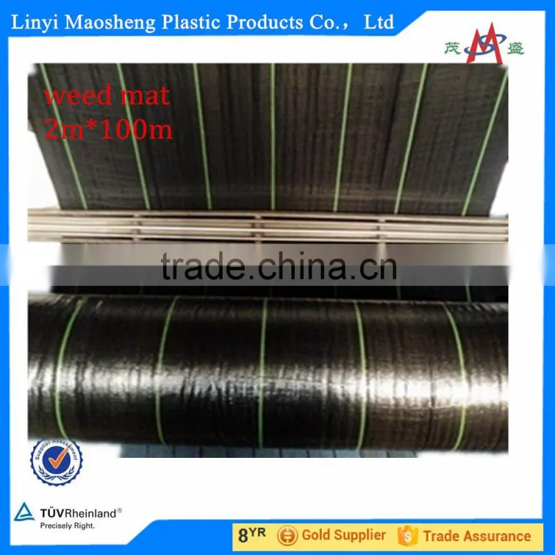 hot sale pp/pe woven black grass cloth fabric