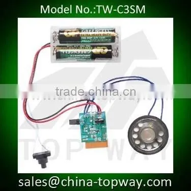 Custom motion sensor sound,music module for promotion