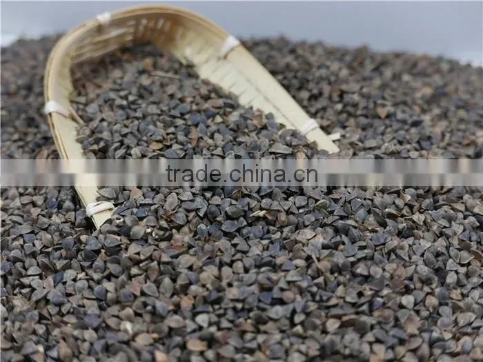 2016 new crop High Quality raw Buckwheat price
