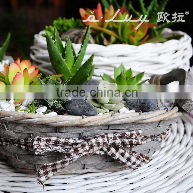 garden basket for European market