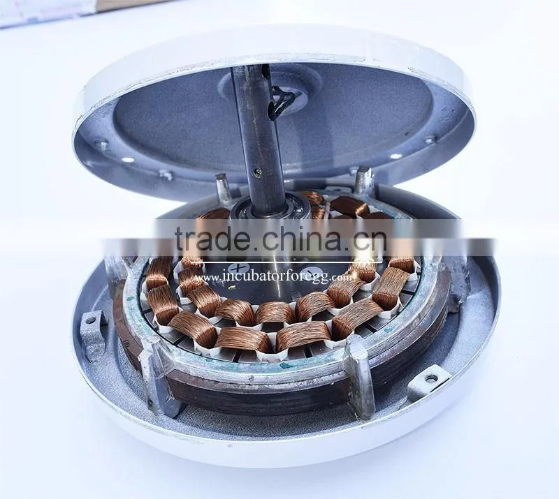 mini egg incubator 100 egg incubator price in tanzania