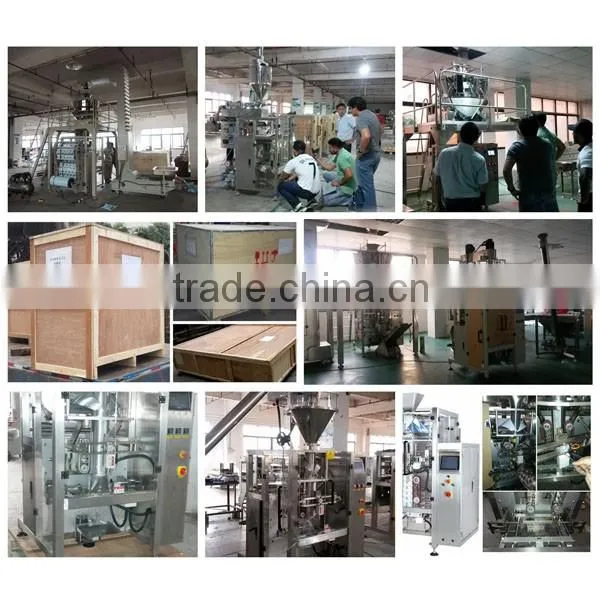 Automatic Cashew Nut Packing Machine (DCTWB-420D)