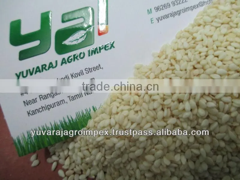 Sesame Seeds in Gujarat