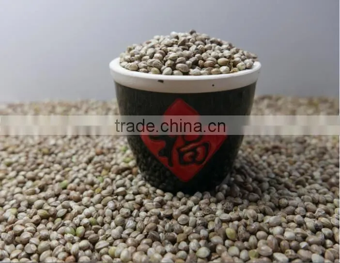 Hemp Seeds with high quality 2016 crop