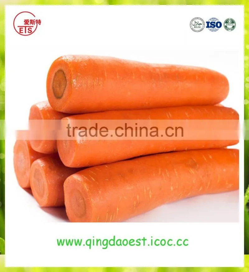 High quality fresh 2016 new carrot