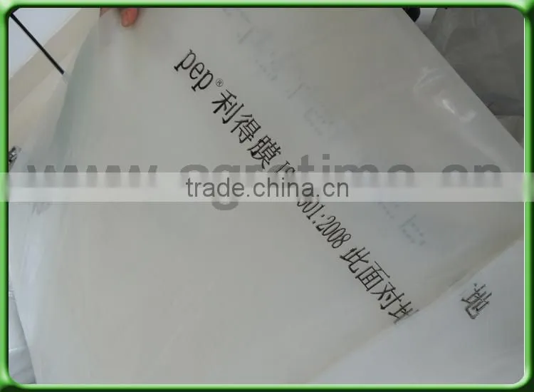 Venlo Greenhouse PC Sheet glass covering hot sale greenhouse/glass greenhouse